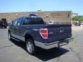 2010 Dark Blue Pearl Metallic Ford F150 XLT SuperCab 4x4  photo #5