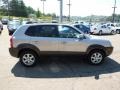 Sahara Silver - Tucson GLS V6 4WD Photo No. 5
