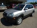 Sahara Silver - Tucson GLS V6 4WD Photo No. 8