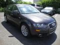 Lava Grey Pearl Effect - A3 2.0T Photo No. 4