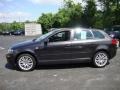 Lava Grey Pearl Effect - A3 2.0T Photo No. 10