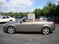 Alpaka Beige Metallic - A4 3.2 quattro Cabriolet Photo No. 10