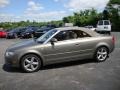 Alpaka Beige Metallic - A4 3.2 quattro Cabriolet Photo No. 36