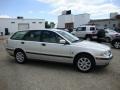 Silver Metallic - V40 1.9T Wagon Photo No. 6