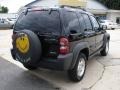 Black Clearcoat - Liberty Sport 4x4 Photo No. 4