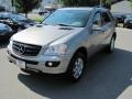Pewter Metallic - ML 350 4Matic Photo No. 2
