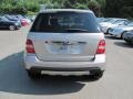 Pewter Metallic - ML 350 4Matic Photo No. 4