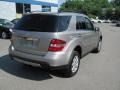 Pewter Metallic - ML 350 4Matic Photo No. 5