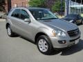 Pewter Metallic - ML 350 4Matic Photo No. 6