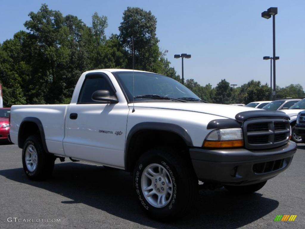 2002 Dakota SXT Regular Cab 4x4 - Bright White / Dark Slate Gray photo #1