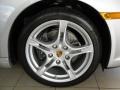 Arctic Silver Metallic - Boxster  Photo No. 28
