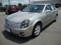 Light Platinum - CTS Sedan Photo No. 1