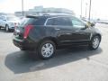 Black Raven - SRX V6 Photo No. 4