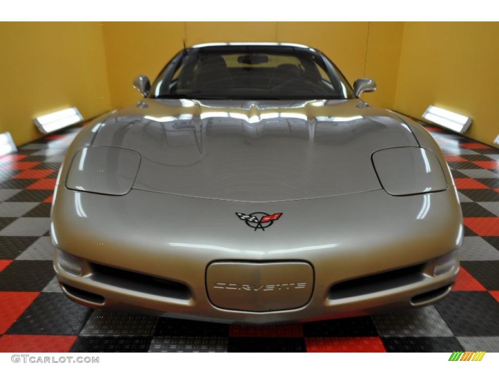 2000 Corvette Coupe - Light Pewter Metallic / Black photo #2