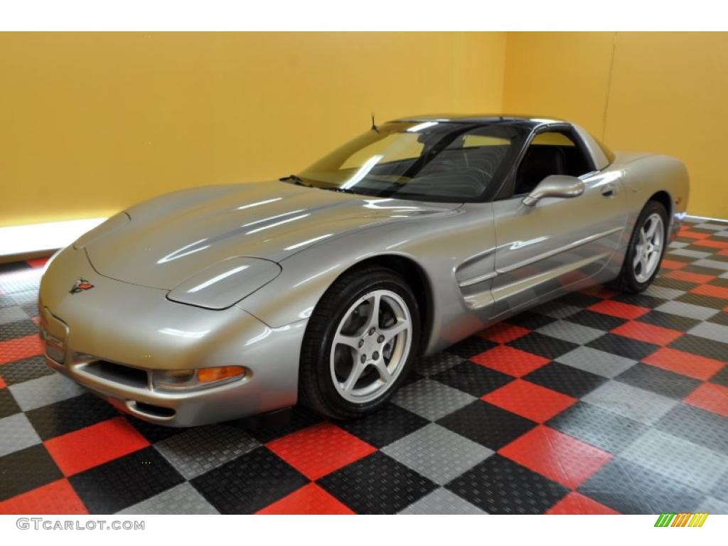 2000 Corvette Coupe - Light Pewter Metallic / Black photo #3