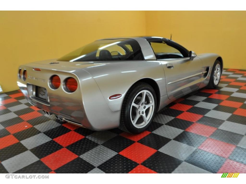 2000 Corvette Coupe - Light Pewter Metallic / Black photo #6