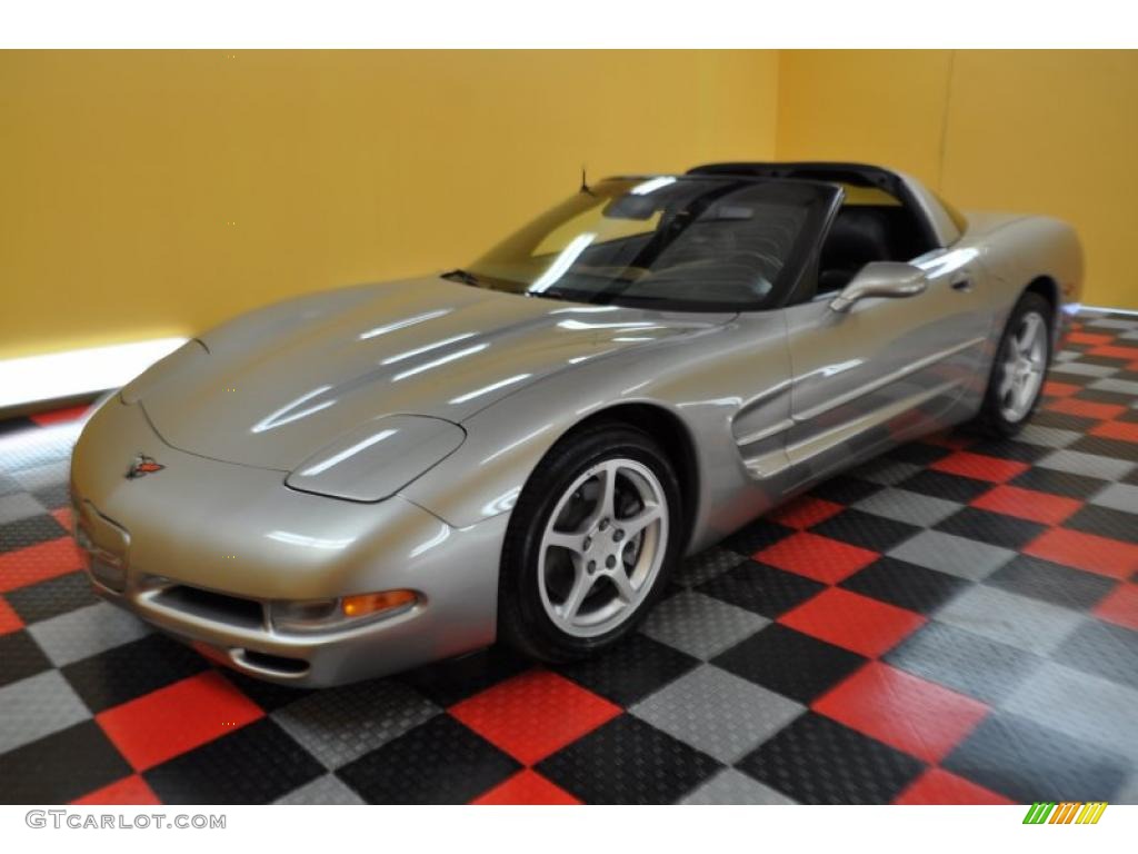 2000 Corvette Coupe - Light Pewter Metallic / Black photo #17