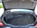 Blue Onyx Pearl - LS 430 Photo No. 35