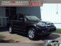 Shadow Mica - 4Runner SR5 Photo No. 1