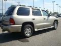 Light Almond Pearl Metallic - Durango Sport Photo No. 6