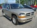 Light Almond Pearl Metallic - Durango Sport Photo No. 8
