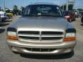 Light Almond Pearl Metallic - Durango Sport Photo No. 9