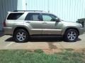 Driftwood Pearl - 4Runner Limited 4x4 Photo No. 17