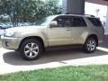Driftwood Pearl - 4Runner Limited 4x4 Photo No. 18
