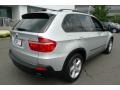 2009 Titanium Silver Metallic BMW X5 xDrive30i  photo #3