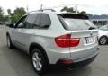 2009 Titanium Silver Metallic BMW X5 xDrive30i  photo #5