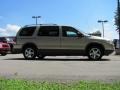 Sedona Beige Metallic - Montana SV6 FWD Photo No. 10