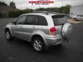 Titanium Metallic - RAV4 4WD Photo No. 6
