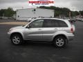 Titanium Metallic - RAV4 4WD Photo No. 7