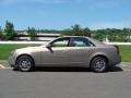 Radiant Bronze - CTS Sedan Photo No. 11