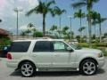 2006 Cashmere Tri-Coat Metallic Ford Expedition Limited  photo #5