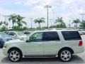 2006 Cashmere Tri-Coat Metallic Ford Expedition Limited  photo #12