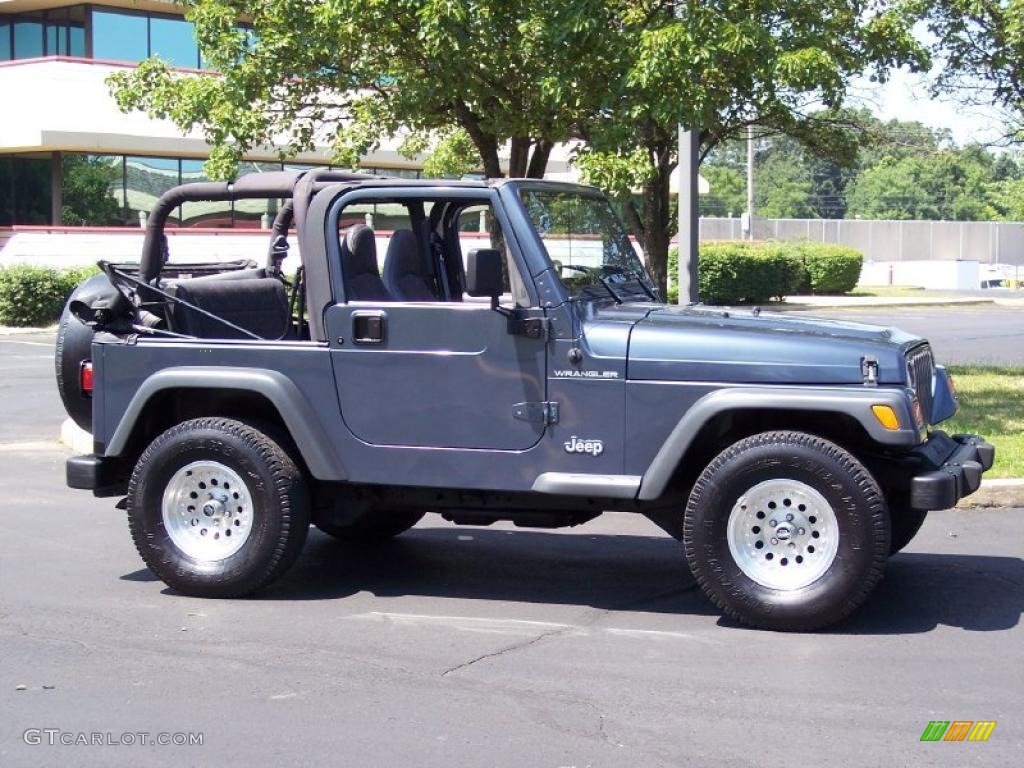 2001 Wrangler SE 4x4 - Steel Blue Pearl / Agate Black photo #4