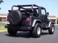 2001 Steel Blue Pearl Jeep Wrangler SE 4x4  photo #7