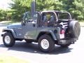 2001 Steel Blue Pearl Jeep Wrangler SE 4x4  photo #9