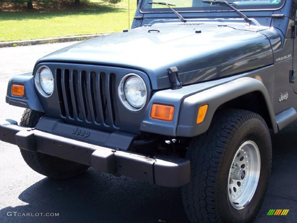 2001 Wrangler SE 4x4 - Steel Blue Pearl / Agate Black photo #12