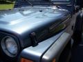 2001 Steel Blue Pearl Jeep Wrangler SE 4x4  photo #21