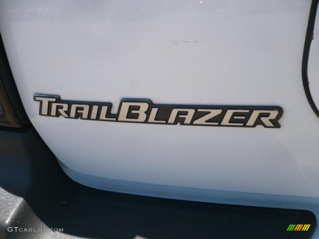 2004 TrailBlazer EXT LS 4x4 - Summit White / Medium Pewter photo #11