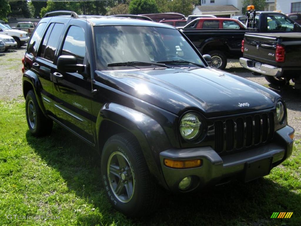 2004 Liberty Rocky Mountain Edition 4x4 - Black Clearcoat / Light Taupe/Dark Slate Gray photo #1