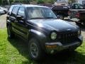 2004 Black Clearcoat Jeep Liberty Rocky Mountain Edition 4x4  photo #1