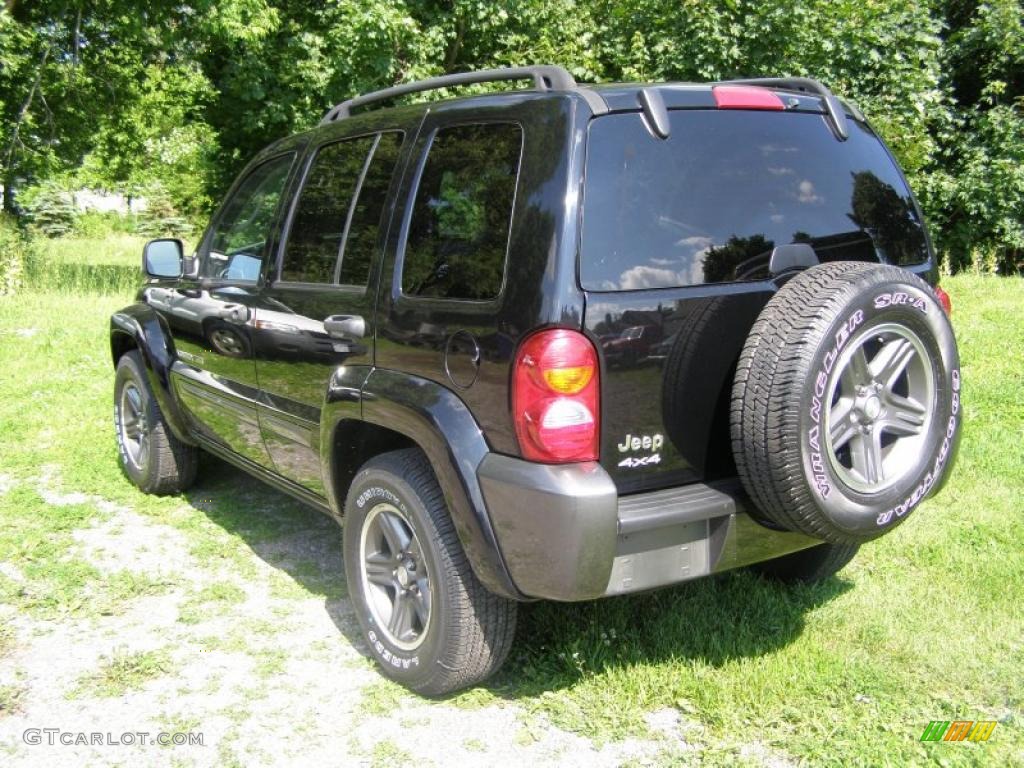 2004 Liberty Rocky Mountain Edition 4x4 - Black Clearcoat / Light Taupe/Dark Slate Gray photo #2