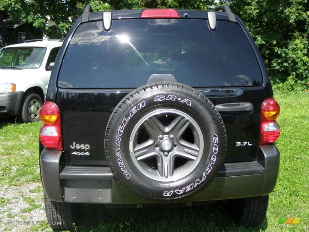 2004 Liberty Rocky Mountain Edition 4x4 - Black Clearcoat / Light Taupe/Dark Slate Gray photo #10