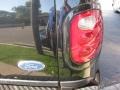 2001 Black Ford F150 Lariat SuperCrew 4x4  photo #19