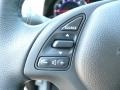 Platinum Graphite - G 37 x Sedan Photo No. 15