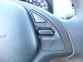 Platinum Graphite - G 37 x Sedan Photo No. 16
