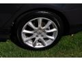 Carbon Gray Pearl - TSX Sedan Photo No. 20